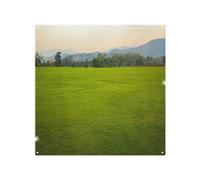 Benjamin Tate Design Image Of Lush Grass Field Designer Splash Back Designer Style