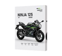 Benjamin Tate Design Kawasaki Ninja 125 Sport Canvas Art Print Deep Wooden Frame Uk Made