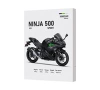 Benjamin Tate Design Kawasaki Ninja 500 Sport Canvas Wall Art Print With Deep Wooden Frame