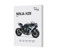 Benjamin Tate Design Kawasaki Ninja H2R Canvas Wall Art Motorcycle Print 2025