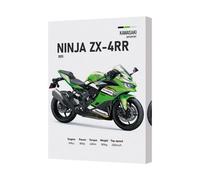 Benjamin Tate Design Kawasaki Ninja Zx4Rr Canvas Wall Art Print Stretched Canvas Uk Handmade