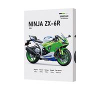 Benjamin Tate Design Kawasaki Ninja Zx6R Canvas Art Print Motorcycle Wall Decor Uk Handmade
