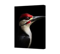 Benjamin Tate Design Kingfisher Bird Canvas Wall Art Portrait Black Background