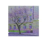 Benjamin Tate Design Lonely Tree Splash Back in Natural Benjamin Tate Design Natural