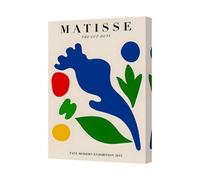 Benjamin Tate Design Matisse The Cut Outs Canvas Print Tate Modern Exhibition 2014