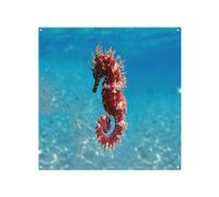 Benjamin Tate Design Mediterranean Seahorse Designer Splash Back Designer Style