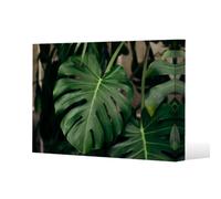 Benjamin Tate Design Monstera Leaves In Home Interior Slim Style Canvas Print 75X100Cm , 15mm Slim Real Wood.