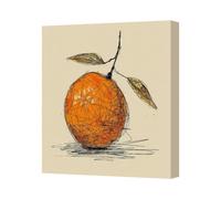 Benjamin Tate Design Orange Fruit Sketch Canvas Art Print Contemporary Wall Decor Uk Handmade