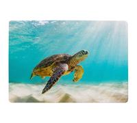 Benjamin Tate Design Photo Of Sea Turtle In The Galapagos Island Designer Rug in Natural | Size: Large Benjamin Tate Design Natural Large