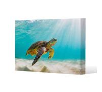Benjamin Tate Design Photo Of Sea Turtle In The Galapagos Island Slim Style Canvas Print 60X90Cm , 15mm Slim Real Wood.