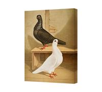 Benjamin Tate Design Pigeon And Dove Canvas Wall Art Print Birds On Wooden Bench