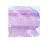 Benjamin Tate Design Pink Pony Ride Splash Back Designer Style