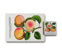 Benjamin Tate Design Placemat And Coaster Set With Wood Base Russian Apricots Collection Designer Artwork Limited Edition