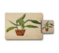 Benjamin Tate Design Placemat Coaster Set Featuring Designer Plant Artwork Wood Bottom High Definition Print 12 Piece Collection