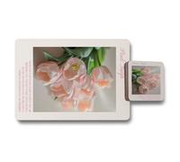 Benjamin Tate Design Placemat Coaster Set Pink Tulip Collection Wood Base High End Print Technology Exclusive Edition