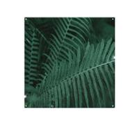 Benjamin Tate Design Plants Background. Biophilia Trend Designer Splash Back Designer Style