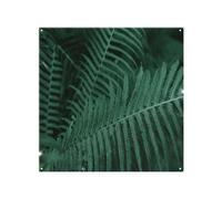 Benjamin Tate Design Plants background. Biophilia trend Designer Splash Back in Natural Benjamin Tate Design Natural