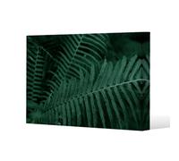 Benjamin Tate Design Plants Background. Biophilia Trend Slim Style Canvas Print 30X40Cm , 15mm Slim Real Wood.
