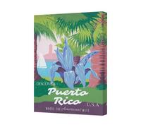 Benjamin Tate Design Puerto Rico Travel Poster Canvas Wall Art Discover Puerto Rico Usa