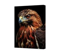 Benjamin Tate Design Red Tailed Hawk Canvas Wall Art Print Bird Portrait For Home Decor