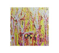 Benjamin Tate Design River Thames & Red Branches Splash Back in Natural Benjamin Tate Design Natural