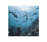 Benjamin Tate Design Schooling Sharkswestern Australia Designer Splash Back Designer Style