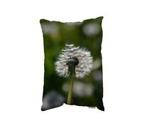 Benjamin Tate Design Seedhead Of A Dandelion In Spring, On A Field Close Up Flower Head, Fluffy Flower (Outdoor Cushion) - 30cm x 45cm