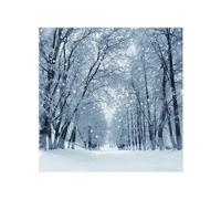 Benjamin Tate Design Snowstorm In Park Dining Splash Back Designer Style