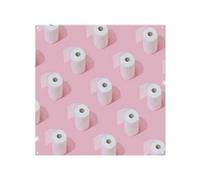 Benjamin Tate Design Toilet Rolls Splash Back Designer Style