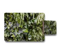 Benjamin Tate Design trend biophilic design wall from plants vertical garden urban jungle modern interior decoration placemat coaster set in Natural Benjamin Tate Design Natural