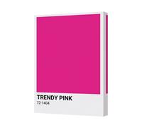 Benjamin Tate Design Trendy Pink Gallery Wrapped Canvas Wall Art Handmade In The United Kingdom