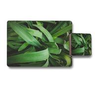 Benjamin Tate Design tropical leaves closeup greenhouse atmospheric background selective focus placemat coaster set in Natural Benjamin Tate Design Natural