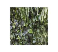 Benjamin Tate Design urban jungle, modern interior decoration Designer Splash Back in Natural Benjamin Tate Design Natural