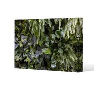 Benjamin Tate Design Urban Jungle, Modern Interior Decoration Slim Style Canvas Print 30X40Cm , 15mm Slim Real Wood.