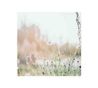 Benjamin Tate Design Wild Daisies Splash Back in Natural Benjamin Tate Design Natural