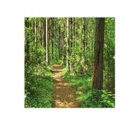 Benjamin Tate Design Woodland Path Designer Splash Back Designer Style