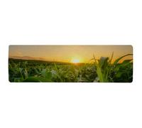 Benjamin Tate Design Young Green Corn Growing On The Field At Sunset Designer Runner Special Soft Home Rug