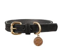 Benji & Flo Noble Suede Dog Collar (M) (Black/Gold)