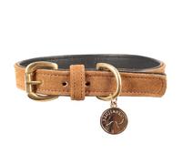 Benji & Flo Noble Suede Dog Collar (M) (Tan/Gold)