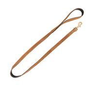 Benji & Flo Noble Suede Dog Lead (120cm) (Tan/Gold)