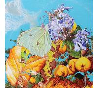 BENNETT WILSON POOLE - I SAW A STAR BEHIND YOUR EYES, DON'T LET IT DIE AWAY