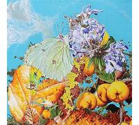 BENNETT WILSON POOLE - I SAW A STAR BEHIND YOUR EYES, DON'T LET IT DIE AWAY [VINYL]