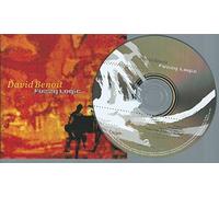 Benoit, David - Fuzzy Logic