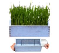 BENPIN Wooden Cat Grass Planter (no Seeds Included) Anti Digging Design
