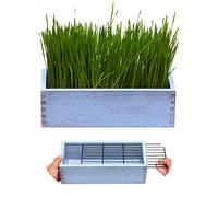 BENPIN Wooden Cat Grass Planter (no Seeds Included) with Anti Digging Design, and Removable Plastic Liner, Wheat Grass Growing Pot, Cat Grass for Indoor Cats Pets (Vintage Blue)