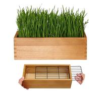 BENPIN Wooden Cat Grass Planter (no Seeds Included) with Potting Soil Disks, Anti-Digging Grid and Removable Plastic Liner, Wheat Grass Growing Pot, Cat Grass Kit for Indoor Cats Pets (Aged Yellow)