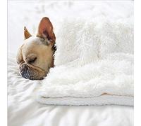 BENRON Cream White 20x30 Inch Small Dog Blanket for Couch Bed Crate Reversible Fleece Fluffy Throw Blankets