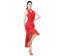 Beokeuioe Women's Flapper Dresses with Tassel Sequins Fringe Dress V Neck Jazz Latin Dance Dress Shiny Tulle Dress Glitter Evening Dresses Sexy Dress Clubwear Carnival Costume, A red, M