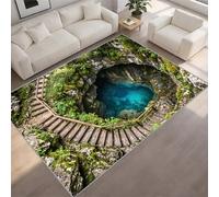 BEQUTIY Large Rugs for Living Room 60 x 90 cm 3D Wooden Walkway Cenote Carpet, Soft Washable Area Rug for Lounge Bedroom & Dining Room