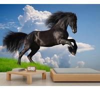 BEQUTIY Majestic Black Horse Rearing Against Blue Sky Wall Mural - Elegant Equestrian Backdrop for Living Room Decor 280x200cm (Not Self-Adhesive)